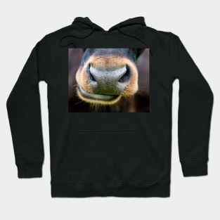 Brown Cow Nose Hoodie